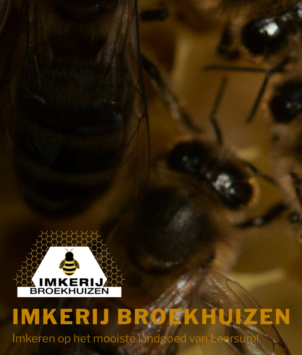 Imkerij Broekhuizen - Doorn